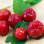 acerola